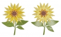 Bild 5 von Stickdatei Sonnenblume
