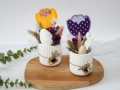 Bild 5 von Stickdatei ITH Tulpe Frühling Stabstickdatei