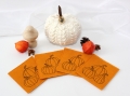 Bild 2 von Stickdatei Kürbis Herbst  Redwork Konturstich